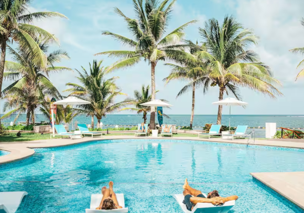 Diseño sin título - 2023-11-12T173438.976